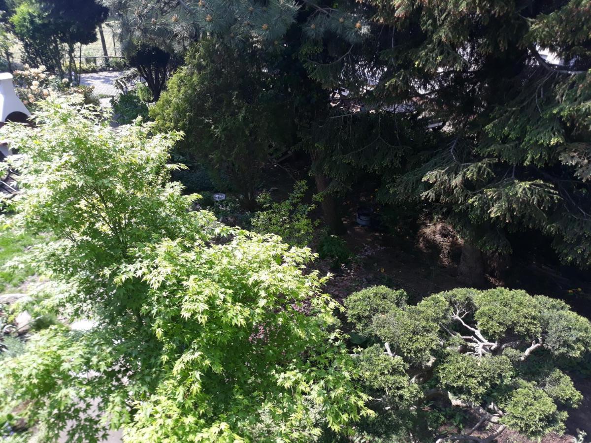 Villa Jaskolka مينززدرويه المظهر الخارجي الصورة
